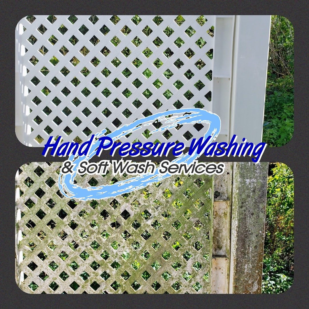 Fence Cleaning